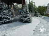 Snoweffects van showeffects.nl