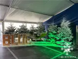 Snoweffects van showeffects.nl