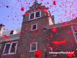 Bruiloften met effecten van showeffects.nl