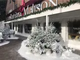 Snoweffects van showeffects.nl