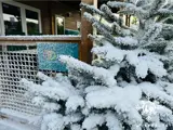 Snoweffects van showeffects.nl