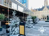 Snoweffects van showeffects.nl