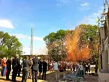 Confetti en Streamers FX van showeffects.nl
