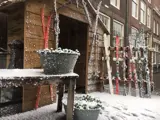 Snoweffects van showeffects.nl