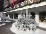 Snoweffects van showeffects.nl