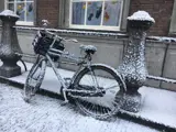 Snoweffects van showeffects.nl